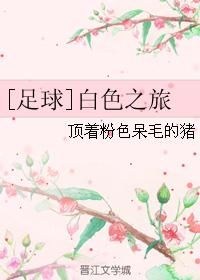 ɫ֮