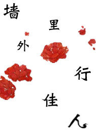 ǽǽ